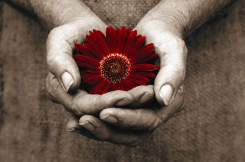 As Inteligências do Coração